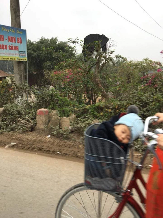 Sáng 83 có một hình ảnh được anh em chia sẻ khá nhiều trên mạng xã hội - 1