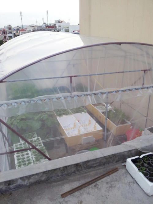 Trai hải phòng chi 4 triệu làm nhà lưới trồng rau sân thượng - 4