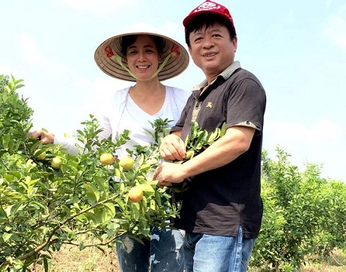 Vườn cây trái bạt ngàn cho hàng tạ quả mỗi vụ của nsưt chiều xuân - 1