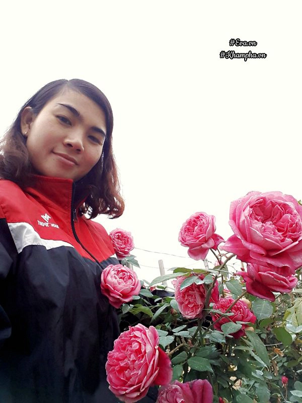 Vườn hoa hồng rộng hơn 1000m của cô con dâu khiến mẹ chồng khó tính cũng phải yêu - 1