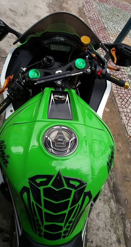 Kawasaki zx10-r trắng xanh long lanh - 6