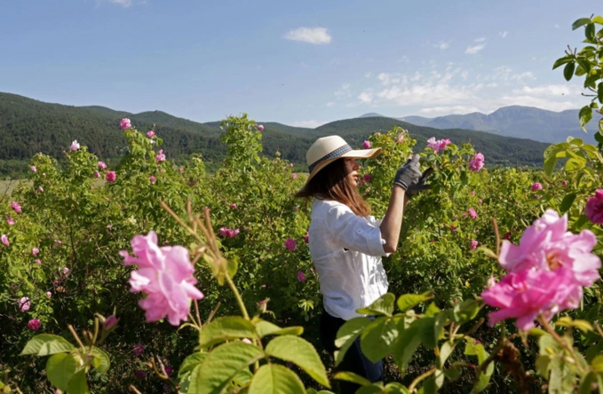 Bulgaria và thung lũng hoa hồng thơ mộng - 7