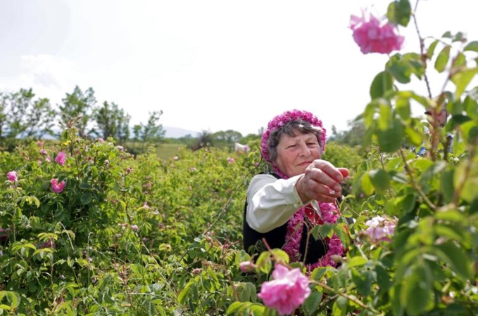 Bulgaria và thung lũng hoa hồng thơ mộng - 11