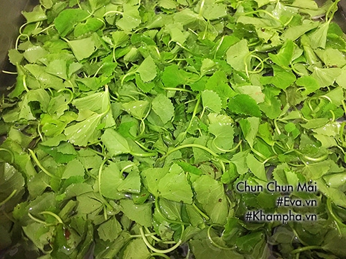 Cách làm sinh tố rau má thanh mát ngày hè - 2