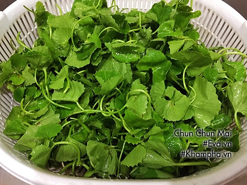 Cách làm sinh tố rau má thanh mát ngày hè - 3