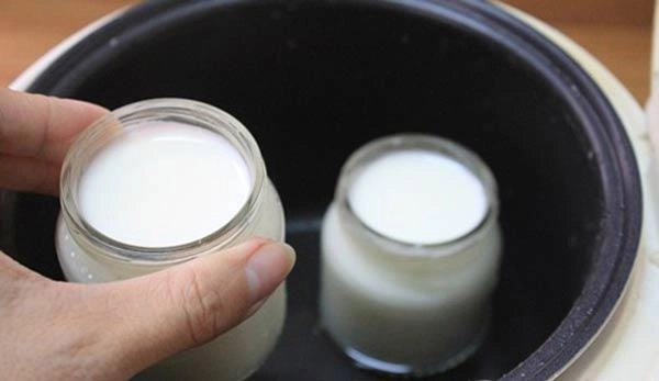 Cách làm sữa chua bằng sữa ông thọ ngon cực đơn giản tại nhà - 5