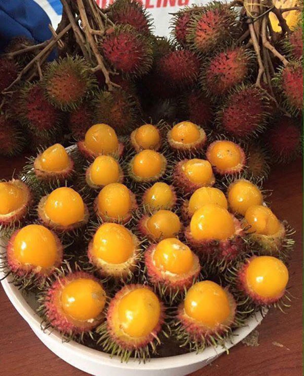 Chôm chôm ruột vàng 80 nghìnkg được tín đồ ăn vặt sài gòn ráo riết tìm mua - 1