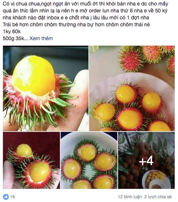 Chôm chôm ruột vàng 80 nghìnkg được tín đồ ăn vặt sài gòn ráo riết tìm mua - 2