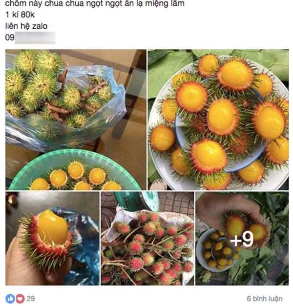Chôm chôm ruột vàng 80 nghìnkg được tín đồ ăn vặt sài gòn ráo riết tìm mua - 3