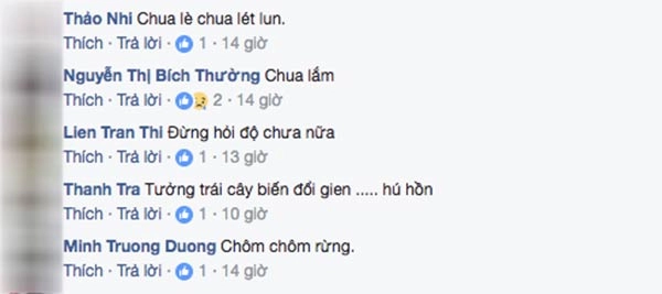 Chôm chôm ruột vàng 80 nghìnkg được tín đồ ăn vặt sài gòn ráo riết tìm mua - 8