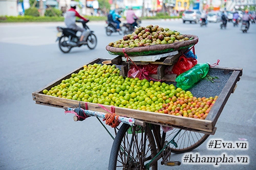 Mận đầu mùa giá đắt gấp 3 vẫn được ưa chuộng - 3