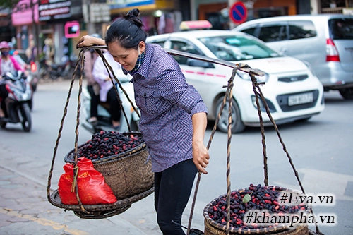 Mùa dâu tằm về chọn quả ngon ngâm nước uống thôi - 1