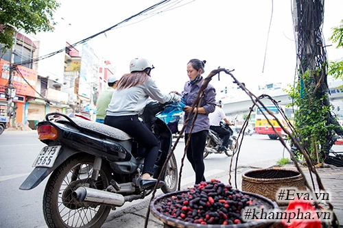 Mùa dâu tằm về chọn quả ngon ngâm nước uống thôi - 12