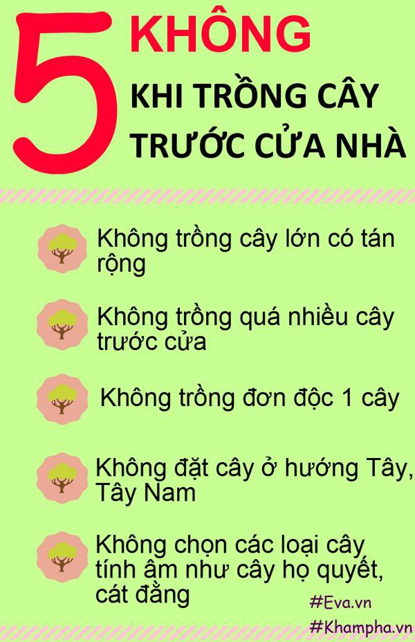 Những loại cây không nên trồng trước cửa nhà để tránh gặp họa - 3