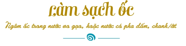 Trời chợt lạnh mách chị em mẹo luộc ốc giòn giòn pha nước chấm ngon ai ăn cũng sướng - 3