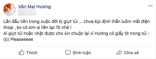 Văn mai hương bị giật túi sách phải tìm đến sự giúp đỡ từ cư dân mạng - 1