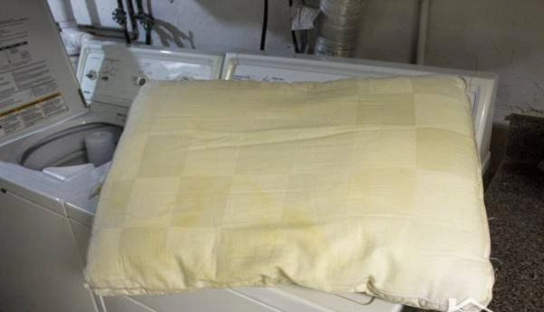 5 bước cực nhàn tẩy trắng ruột gối ruột chăn ố vàng ai cũng làm được - 1