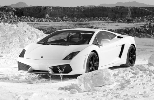  ảnh đẹp của bò tót lamborghini - 2