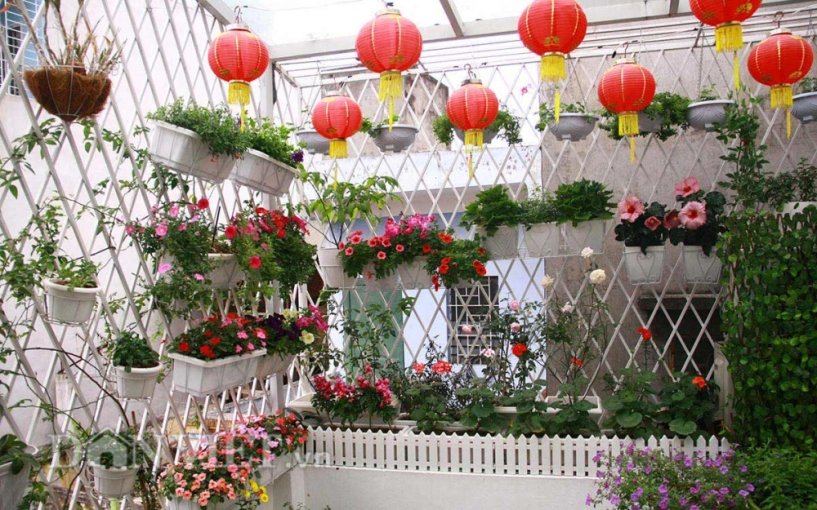Ban công ngập sắc hoa xuân khiến ai cũng phải lòng của mẹ hà thành - 2