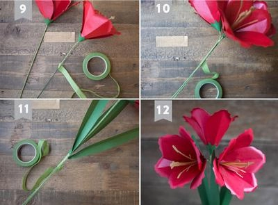 Chẳng cần tốn nhiều tiền vẫn có hoa loa kèn độc - lạ chơi mấy cái tết thế mới lạ - 7