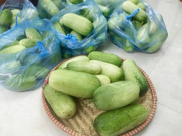 Chị em nhao nhao tìm mua loại dưa chuột lạ béo tròn nặng tới 2kgquả ăn đã đời - 1