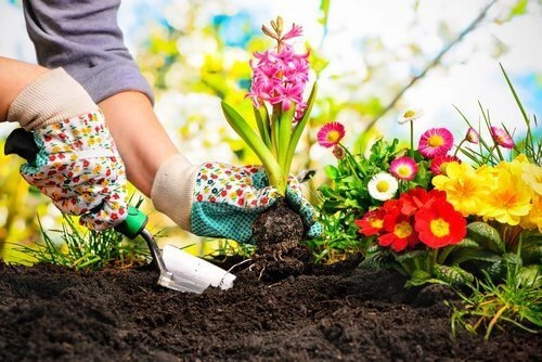 Chị em tha hồ dọn dẹp nhà cửa sạch bất ngờ chỉ nhờ lon bia uống dở của chồng - 4