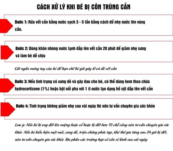 Chi tiết cách sơ cứu trẻ bị bỏng côn trùng cắn chuẩn xác nhất - 1