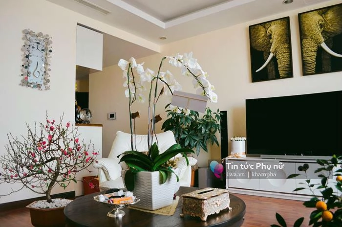 Chung cư tiền tỷ ngập sắc hoa xuân của á hậu huyền my ngày tết - 1