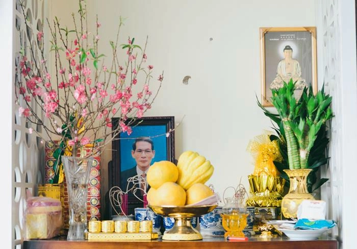 Chung cư tiền tỷ ngập sắc hoa xuân của á hậu huyền my ngày tết - 3