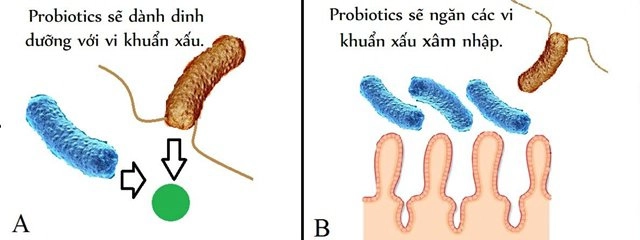 Chuyên gia mách mẹ cách chọn và cho trẻ dùng sữa chua chuẩn xác nhất - 3