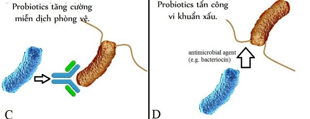 Chuyên gia mách mẹ cách chọn và cho trẻ dùng sữa chua chuẩn xác nhất - 4