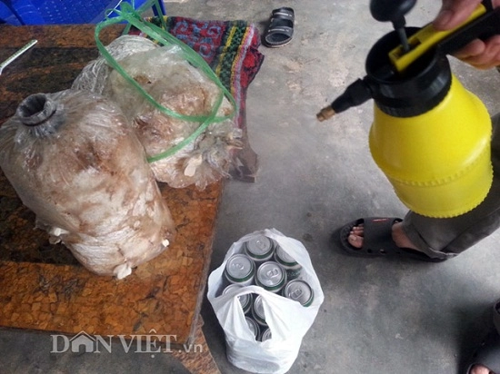 Chuyện thật như đùa dùng bỉm trồng rau bia tưới nấm ngô bón cam - 7