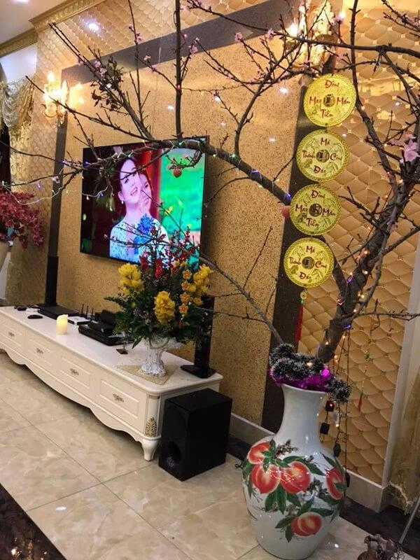 Cuộc sống của vy oanh và chồng đại gia trong biệt thự triệu đô ở sài gòn - 8