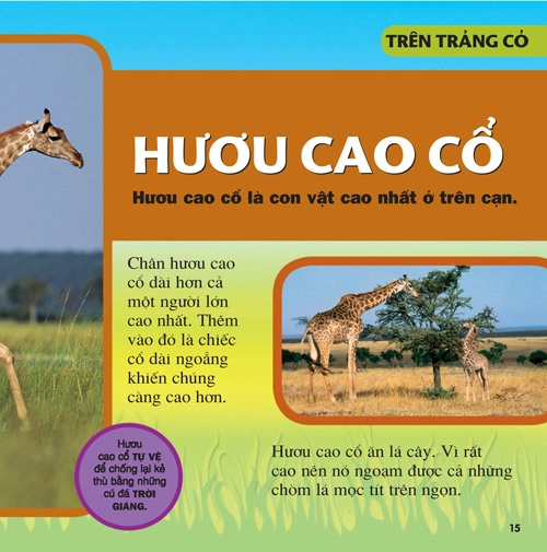 Cuốn sách lớn đầu tiên của tớ - bộ sách cực hay cho thiếu nhi - 5