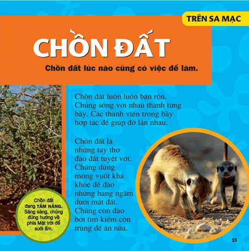 Cuốn sách lớn đầu tiên của tớ - bộ sách cực hay cho thiếu nhi - 7