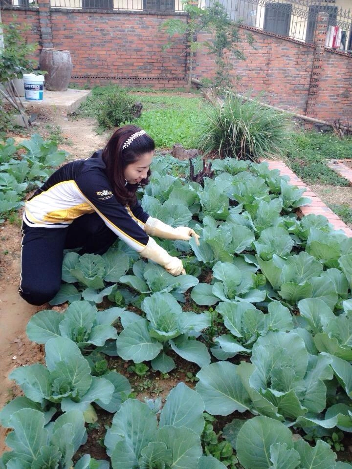Ghen tị vườn 500m2 trồng phủ kín giò hoa bồn rau - 4