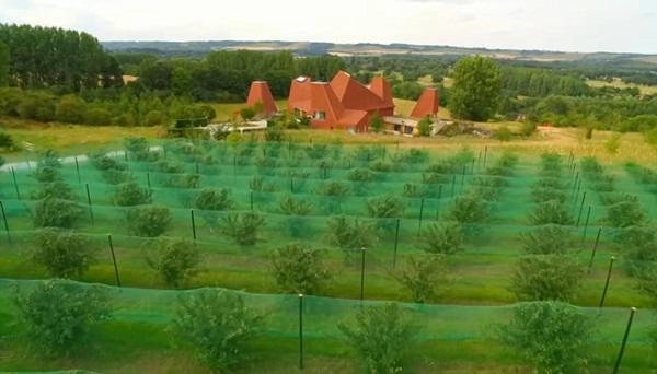 Giành giải kiến trúc của năm căn biệt thự vẫn bị chê vừa xấu vừa lố - 15