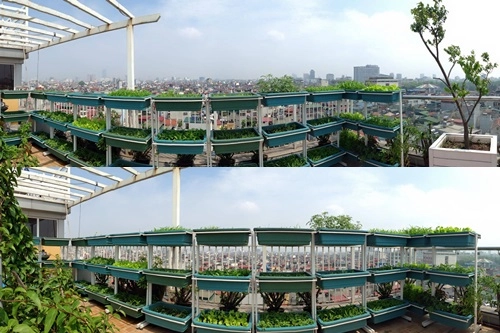 Hà nội phát thèm vườn rau tầng 10 nhìn ra hồ lộng gió - 1