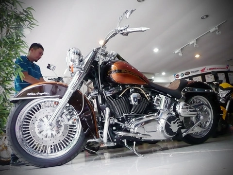  harley softail phong cách rock độc nhất việt nam - 1