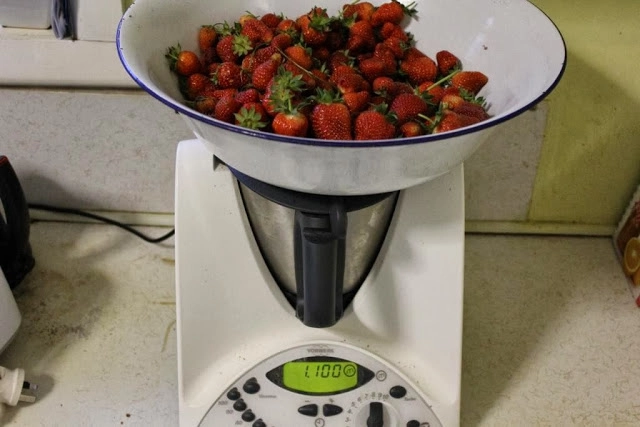 Làm thế nào để trồng được 3kg dâu tây trong một tuần - 4