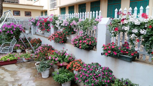 Mẹ trẻ trồng vườn ngập sắc hoa tại thiên đường mộc châu - 1