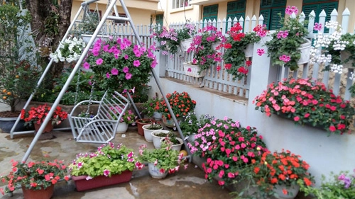 Mẹ trẻ trồng vườn ngập sắc hoa tại thiên đường mộc châu - 10