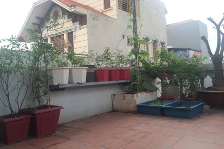 Một tháng trồng cây ra hoa rau ra lá của bà mẹ hai con - 2