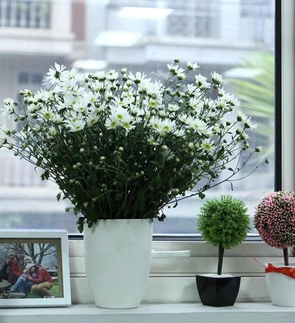 Mùa cúc họa mi gõ cửa update ngay 1001 cách cắm đẹp ngây ngất cho nhà thêm xinh - 2