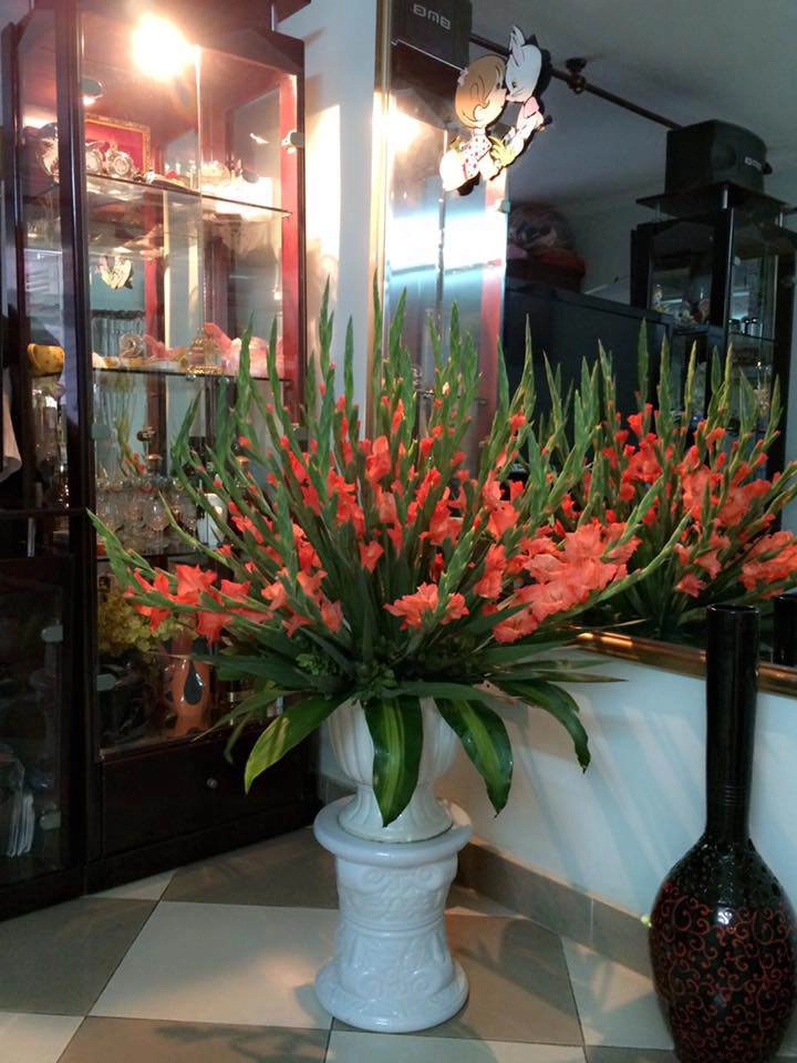 Mua hoa lay ơn chơi tết phải biết những mẹo này thì mới chọn được hoa đẹp chơi lâu - 3