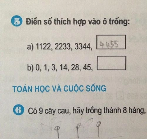 Những bài tập tiểu học hại não cả người lớn - 5