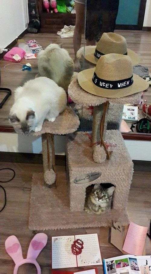 Sắp lấy trấn thành mà nhà ca sĩ hari won vẫn giản dị đến bất ngờ - 5