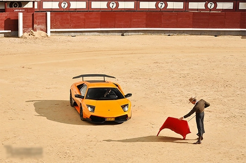  siêu xe lamborghini làm bò tót - 11