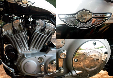  tạo dáng cùng harley davidson sportster 883 - 2