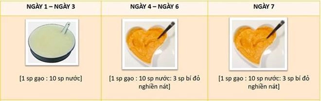 Thực đơn ăn dặm 9 tuần đầu chuẩn cho bé theo hướng dẫn của chuyên gia việt ở anh quốc - 2